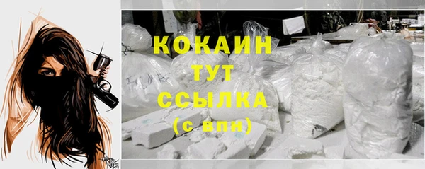 соль ск Балахна