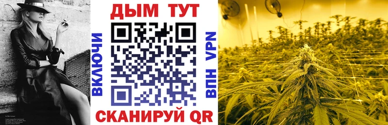 хочу наркоту  Старица  Каннабис план 